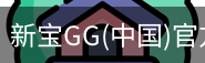 新宝GG